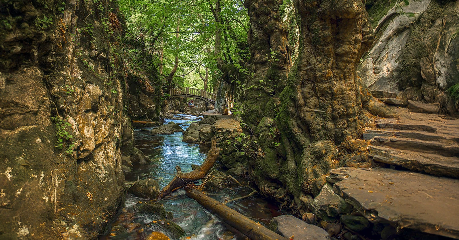 2. Kaz Dağları: Şahinderesi Kanyonu ve Çevresi (Taşlı Patikalar ve Saf Oksijen)