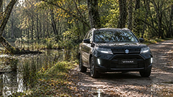 Sarı ve Turuncu Tonların Peşinde: Suzuki Vitara ile Sonbahar Rotaları