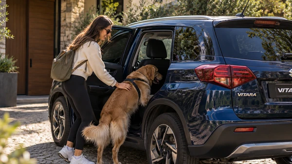Suzuki Konforu Onların da Hakkı: Evcil Hayvanla Uzun Yol Rehberi